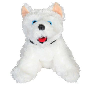 BIG BUFFY DOG - BBD - Eskimo Joe's Clothes